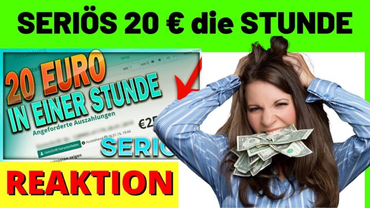 Geld verdienen im Internet | SERIÖS 20€ in EINER STUNDE | testbird erfahrungen [Michael Reagiertauf]